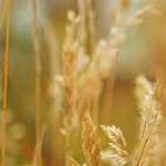 Apt get tutorial – manage packages on ubuntu/debian