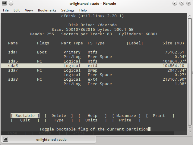 linux cfdisk disk partitions