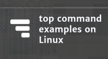 Linux top command examples