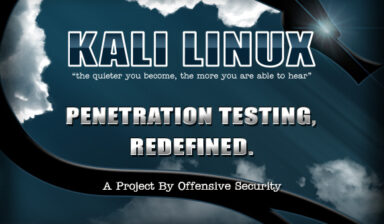 Reviewing Kali Linux - the distro for security geeks
