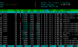 htop running on centos