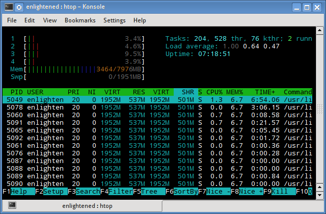 htop memory ram usage