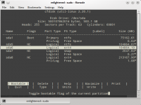 linux cfdisk disk partitions