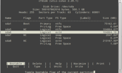 linux cfdisk disk partitions