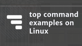 Linux top command examples