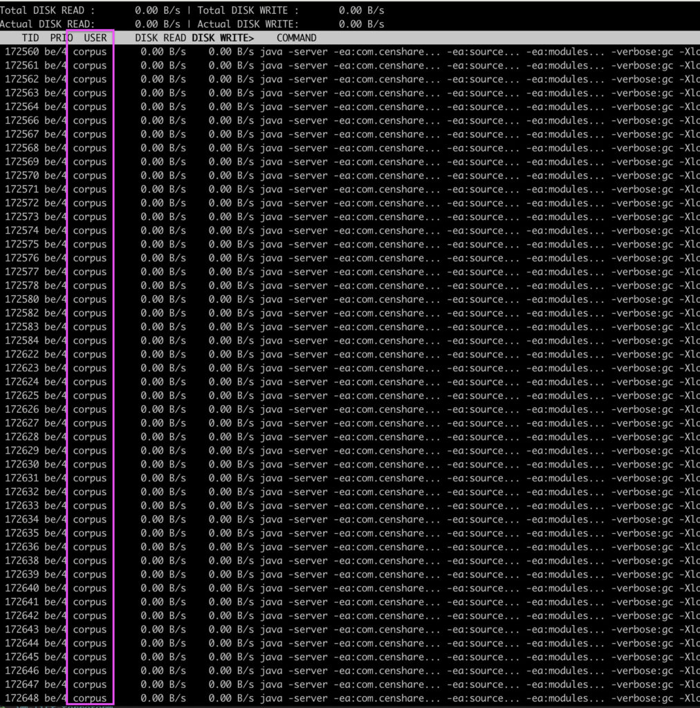iotop-u output