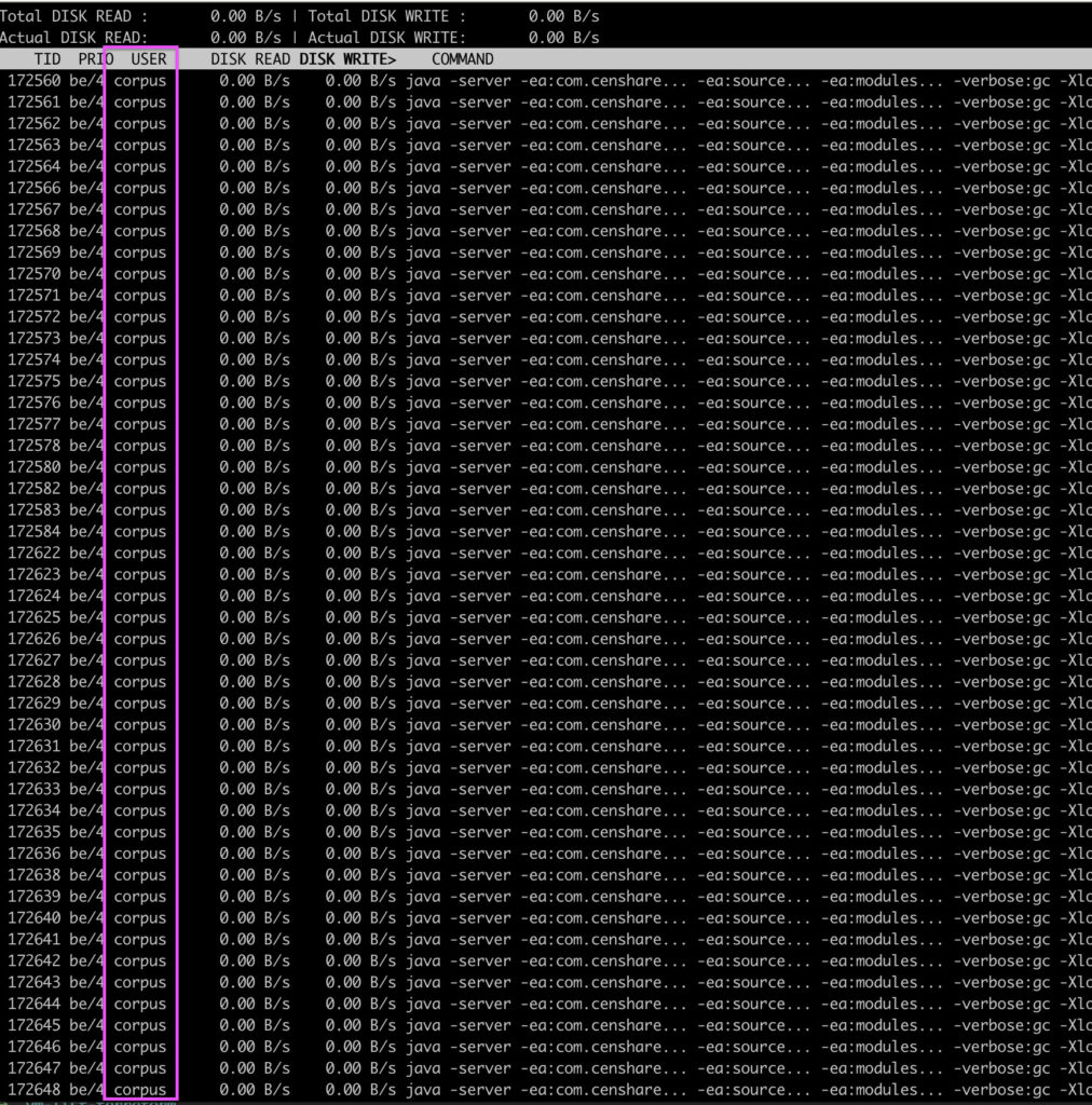 iotop-u output