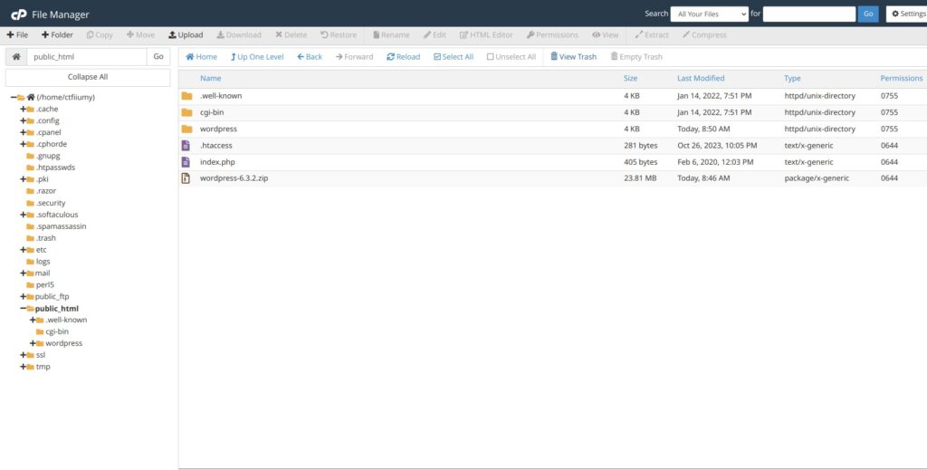 Cpanel File Manager WordPress Files