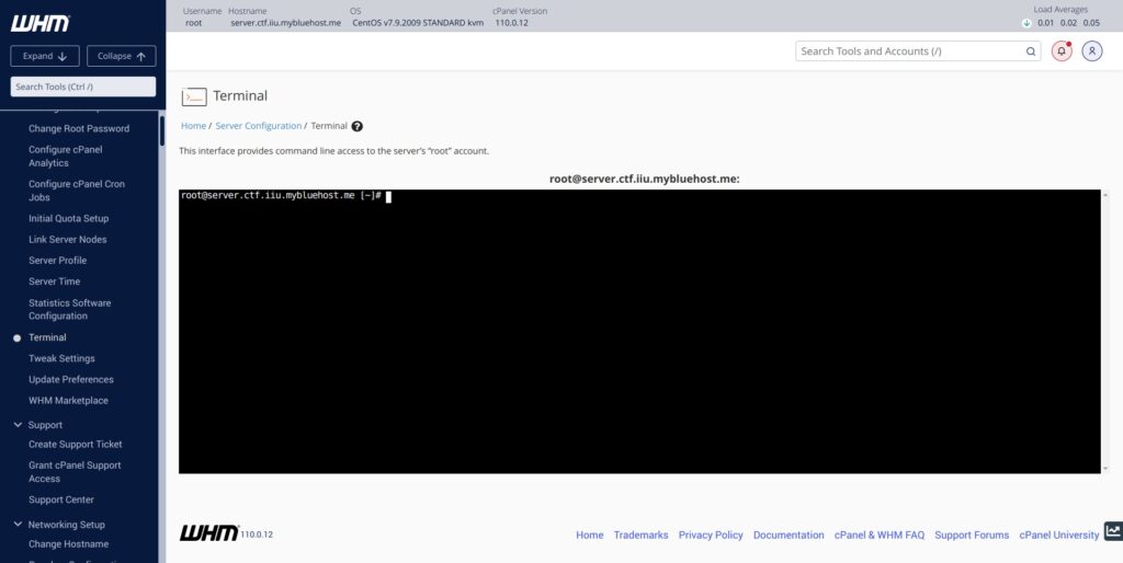WHM Server Terminal Access