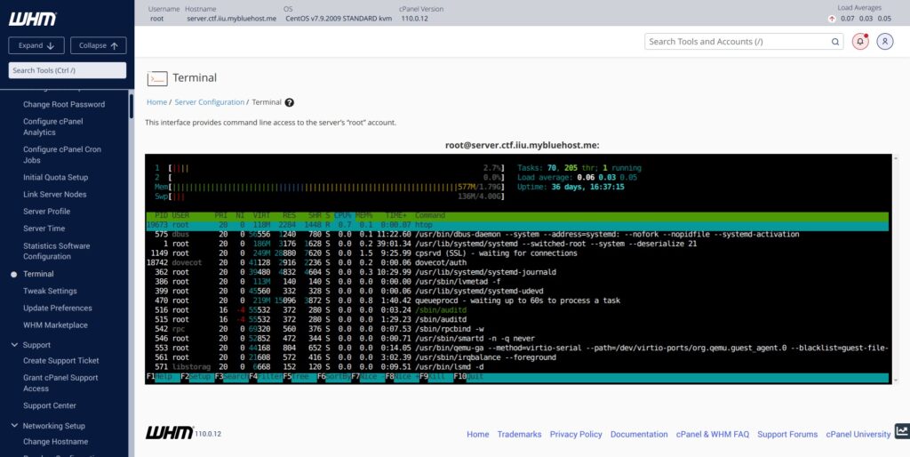 WHM Server Terminal htop command