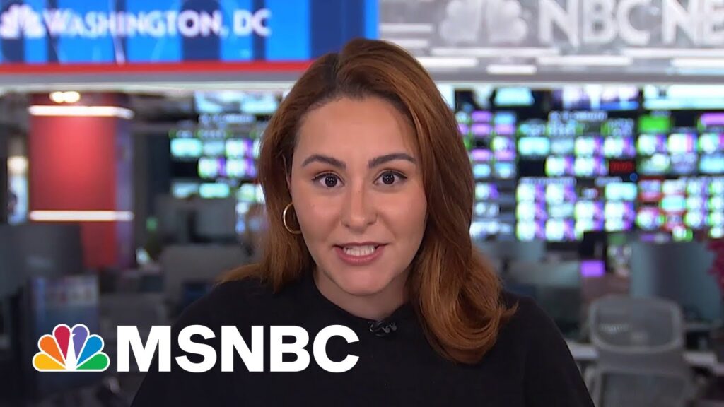 Ali Vitali is a renowned MSNBC reporter